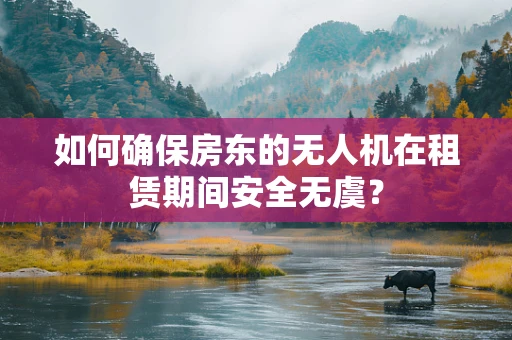 如何确保房东的无人机在租赁期间安全无虞？