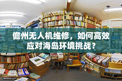 儋州无人机维修，如何高效应对海岛环境挑战？
