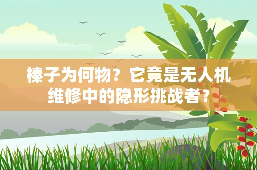 榛子为何物？它竟是无人机维修中的隐形挑战者？