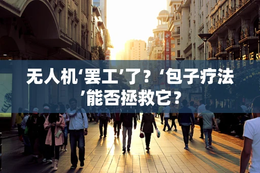 无人机‘罢工’了？‘包子疗法’能否拯救它？