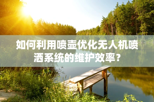 如何利用喷壶优化无人机喷洒系统的维护效率？