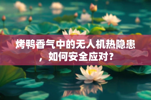 烤鸭香气中的无人机热隐患，如何安全应对？