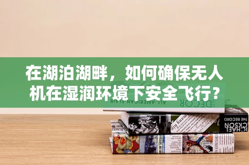 在湖泊湖畔，如何确保无人机在湿润环境下安全飞行？