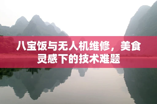八宝饭与无人机维修，美食灵感下的技术难题