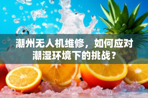 潮州无人机维修，如何应对潮湿环境下的挑战？