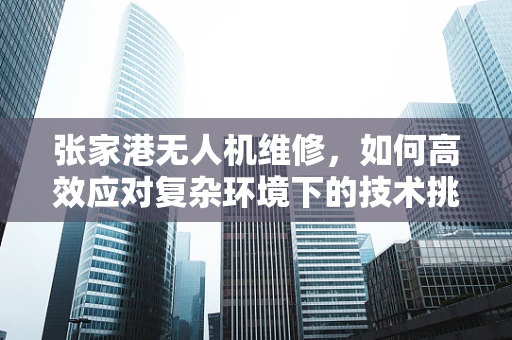张家港无人机维修，如何高效应对复杂环境下的技术挑战？