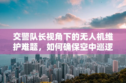 交警队长视角下的无人机维护难题，如何确保空中巡逻安全？