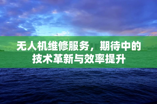 无人机维修服务，期待中的技术革新与效率提升
