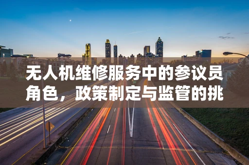 无人机维修服务中的参议员角色，政策制定与监管的挑战
