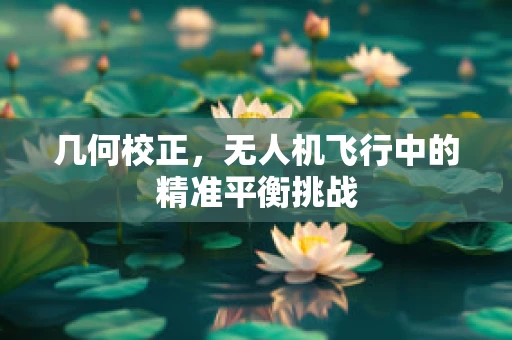 几何校正，无人机飞行中的精准平衡挑战