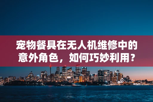 宠物餐具在无人机维修中的意外角色，如何巧妙利用？