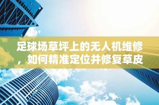 足球场草坪上的无人机维修，如何精准定位并修复草皮损伤？