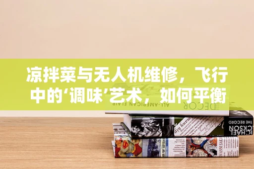凉拌菜与无人机维修，飞行中的‘调味’艺术，如何平衡？