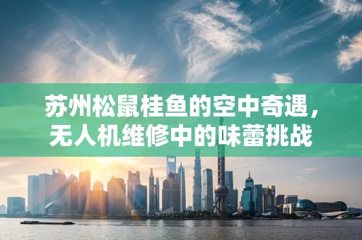 苏州松鼠桂鱼的空中奇遇，无人机维修中的味蕾挑战