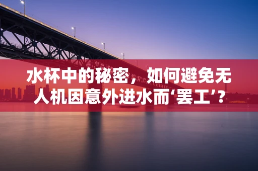 水杯中的秘密，如何避免无人机因意外进水而‘罢工’？