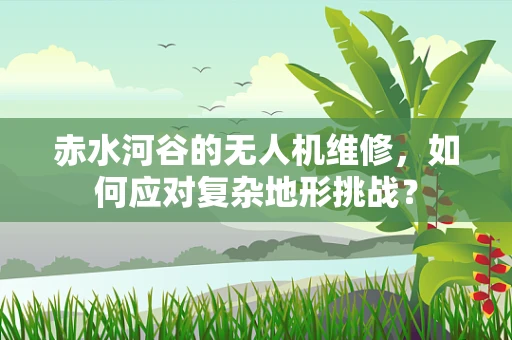 赤水河谷的无人机维修，如何应对复杂地形挑战？