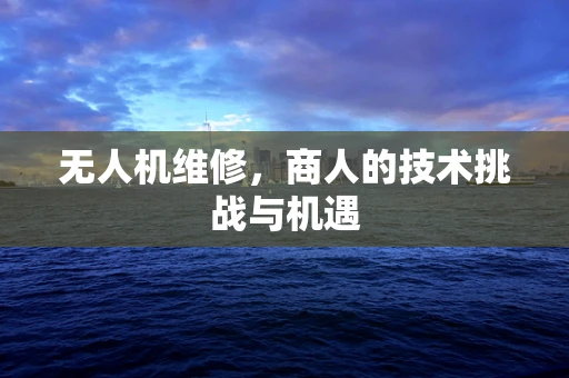 无人机维修，商人的技术挑战与机遇