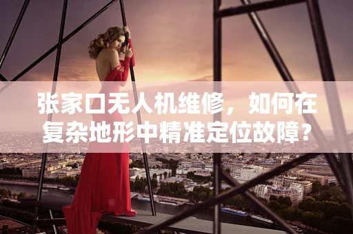 张家口无人机维修，如何在复杂地形中精准定位故障？
