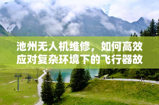 池州无人机维修，如何高效应对复杂环境下的飞行器故障？