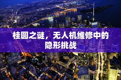 桂圆之谜，无人机维修中的隐形挑战