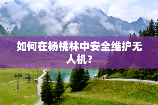 如何在杨桃林中安全维护无人机？