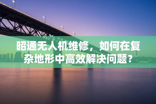 昭通无人机维修，如何在复杂地形中高效解决问题？