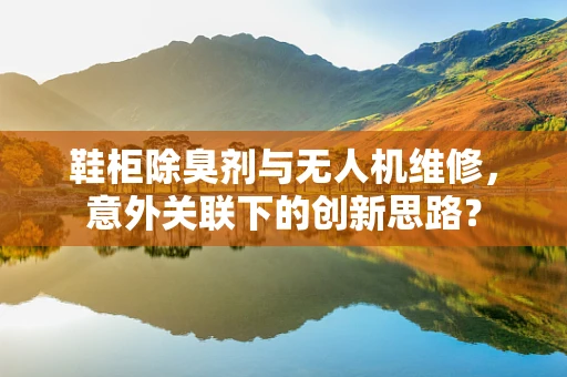 鞋柜除臭剂与无人机维修，意外关联下的创新思路？