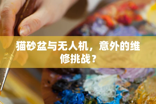 猫砂盆与无人机，意外的维修挑战？