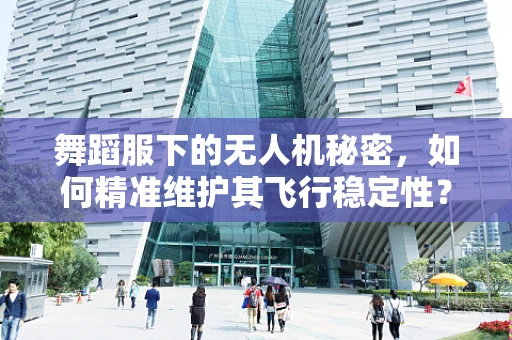 舞蹈服下的无人机秘密，如何精准维护其飞行稳定性？