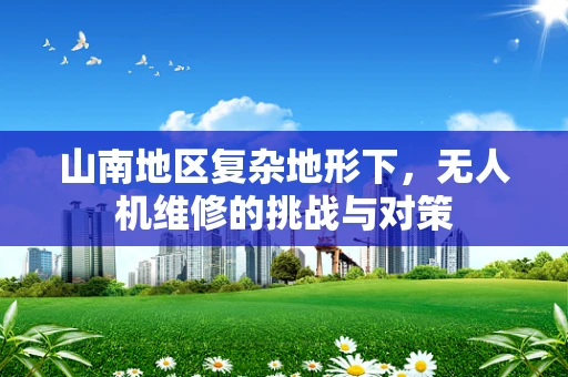 山南地区复杂地形下，无人机维修的挑战与对策