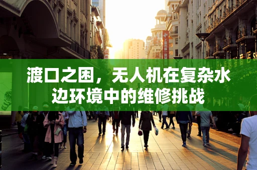 渡口之困，无人机在复杂水边环境中的维修挑战