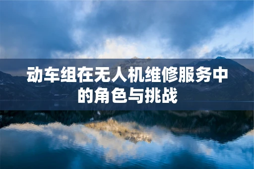动车组在无人机维修服务中的角色与挑战
