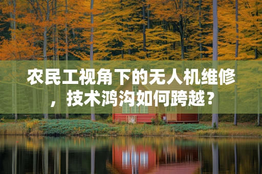 农民工视角下的无人机维修，技术鸿沟如何跨越？