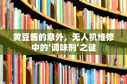 黄豆酱的意外，无人机维修中的‘调味剂’之谜