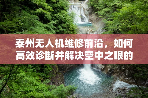 泰州无人机维修前沿，如何高效诊断并解决空中之眼的‘视觉障碍’？