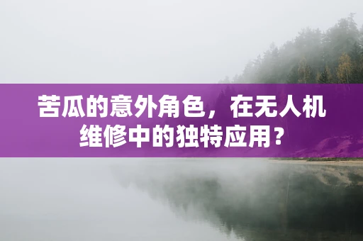 苦瓜的意外角色，在无人机维修中的独特应用？