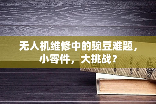 无人机维修中的豌豆难题，小零件，大挑战？