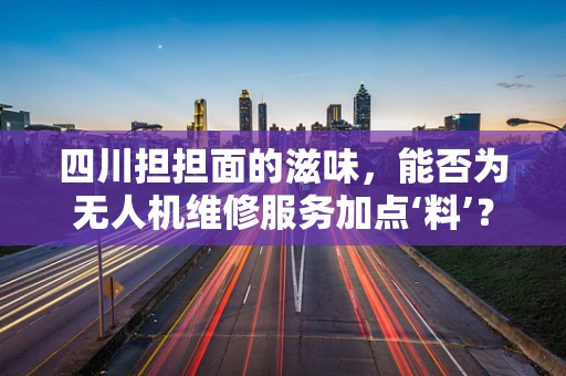 四川担担面的滋味，能否为无人机维修服务加点‘料’？
