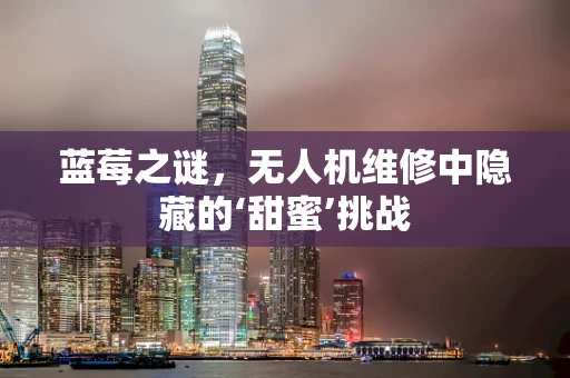 蓝莓之谜，无人机维修中隐藏的‘甜蜜’挑战