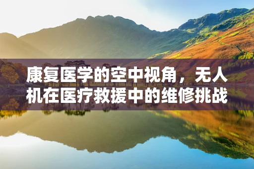 康复医学的空中视角，无人机在医疗救援中的维修挑战与机遇