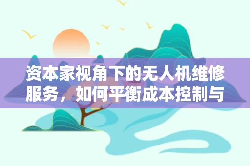 资本家视角下的无人机维修服务，如何平衡成本控制与技术创新？