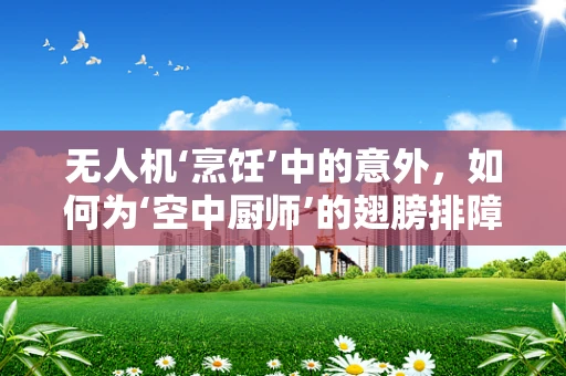 无人机‘烹饪’中的意外，如何为‘空中厨师’的翅膀排障？