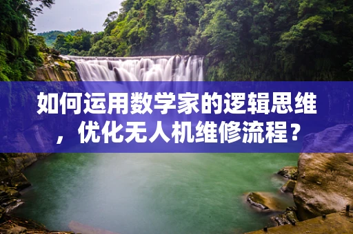 如何运用数学家的逻辑思维，优化无人机维修流程？