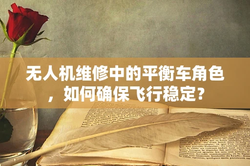 无人机维修中的平衡车角色，如何确保飞行稳定？