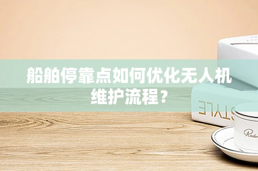 船舶停靠点如何优化无人机维护流程？