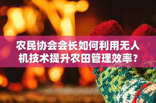 农民协会会长如何利用无人机技术提升农田管理效率？