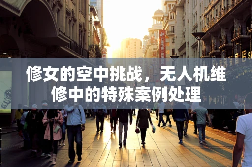 修女的空中挑战，无人机维修中的特殊案例处理