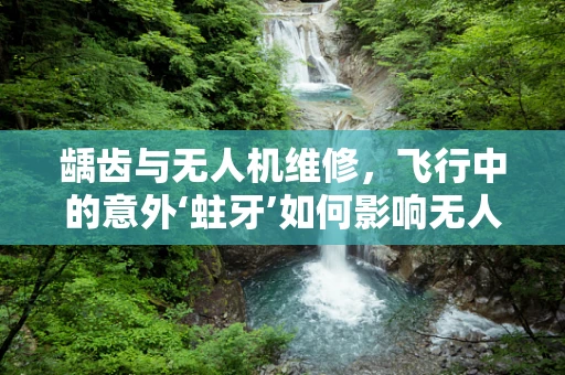 龋齿与无人机维修，飞行中的意外‘蛀牙’如何影响无人机性能？