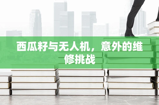 西瓜籽与无人机，意外的维修挑战
