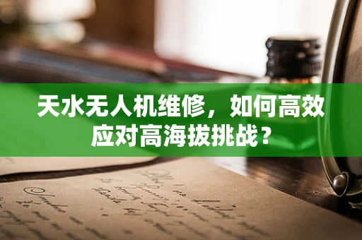 天水无人机维修，如何高效应对高海拔挑战？
